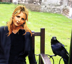 1raven
